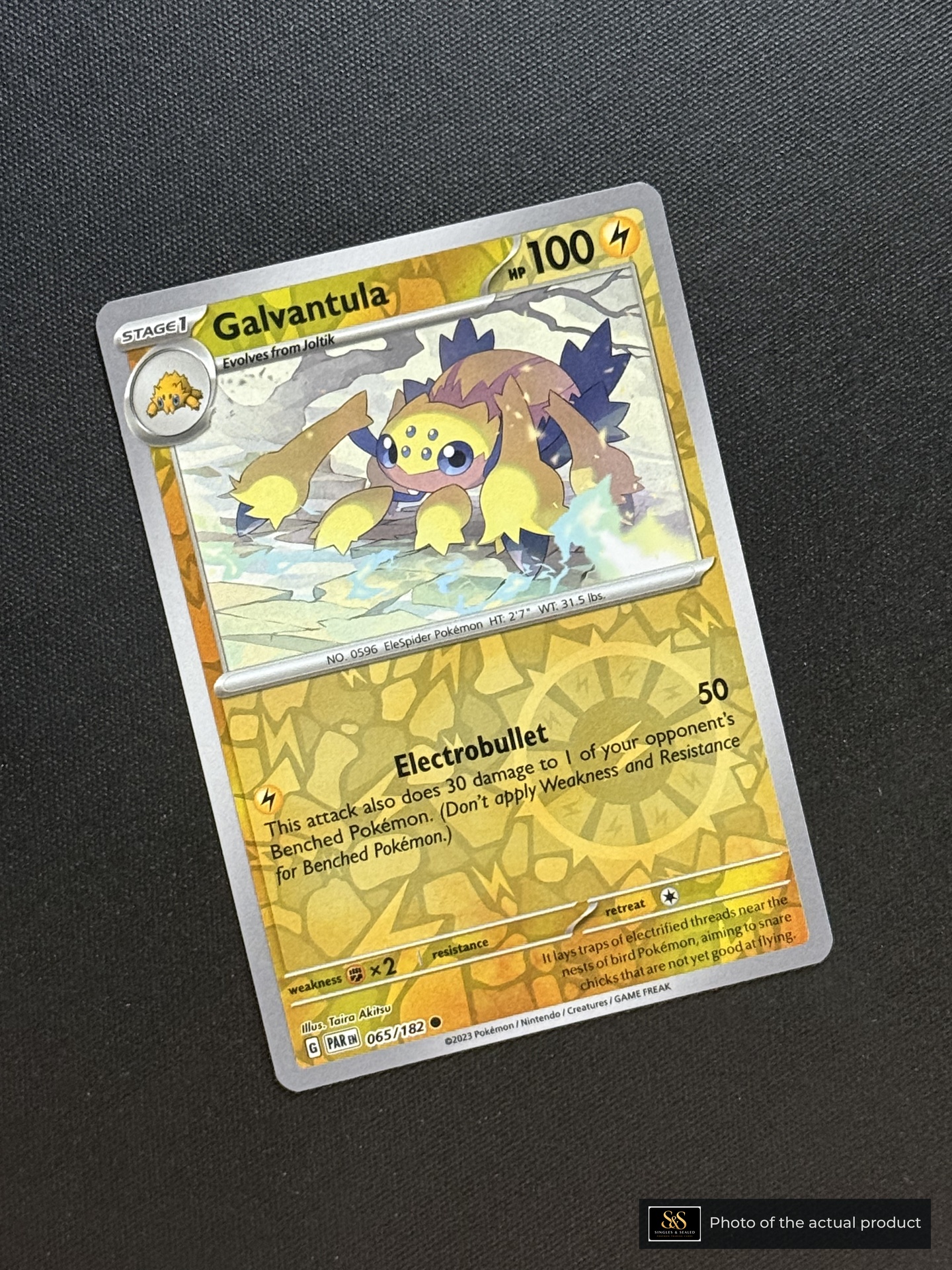 Galvantula — echte voorzijde