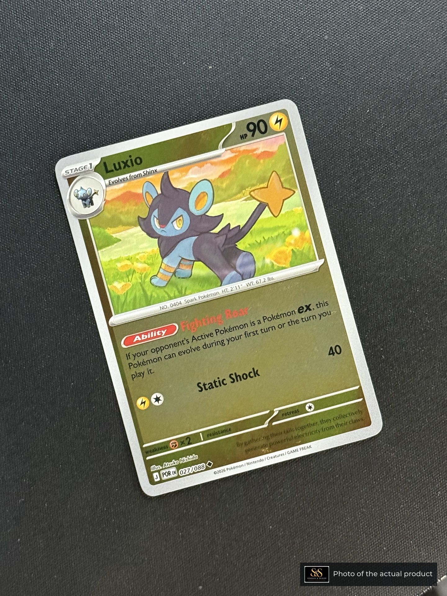 Luxio — echte voorzijde