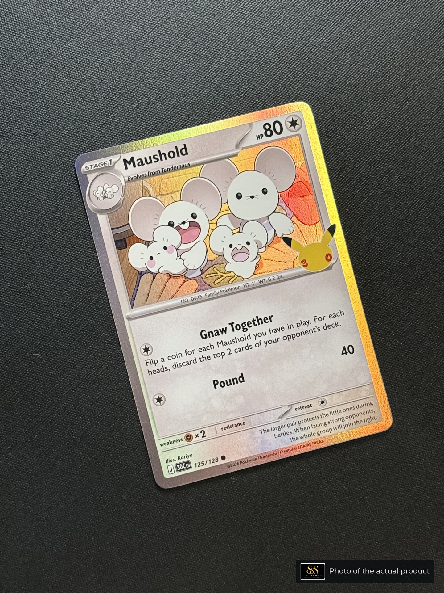 Maushold — echte voorzijde