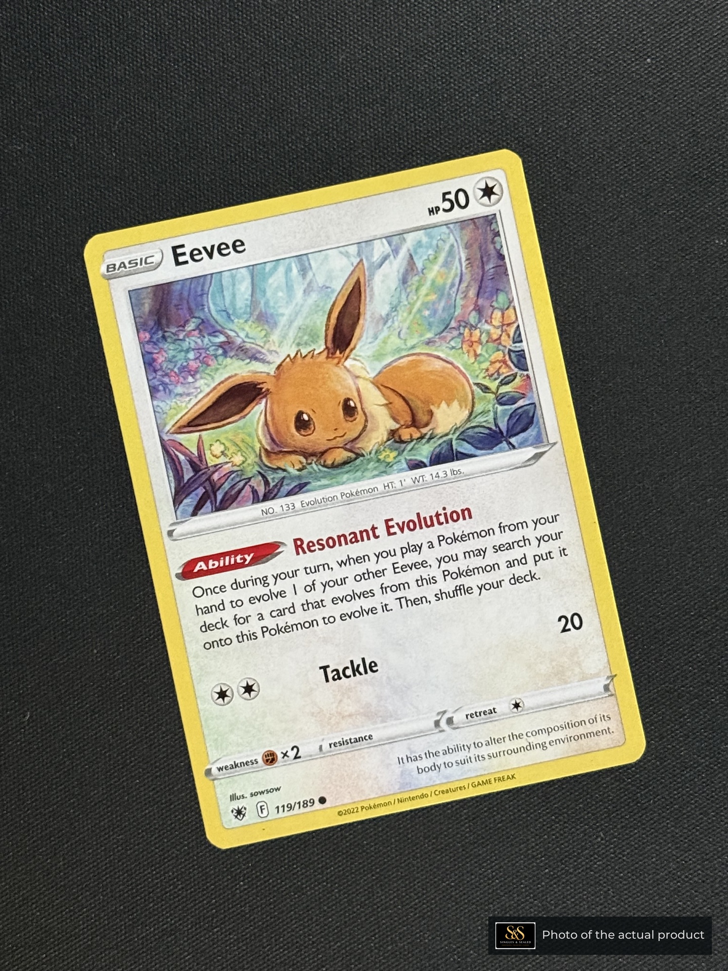Eevee — echte voorzijde