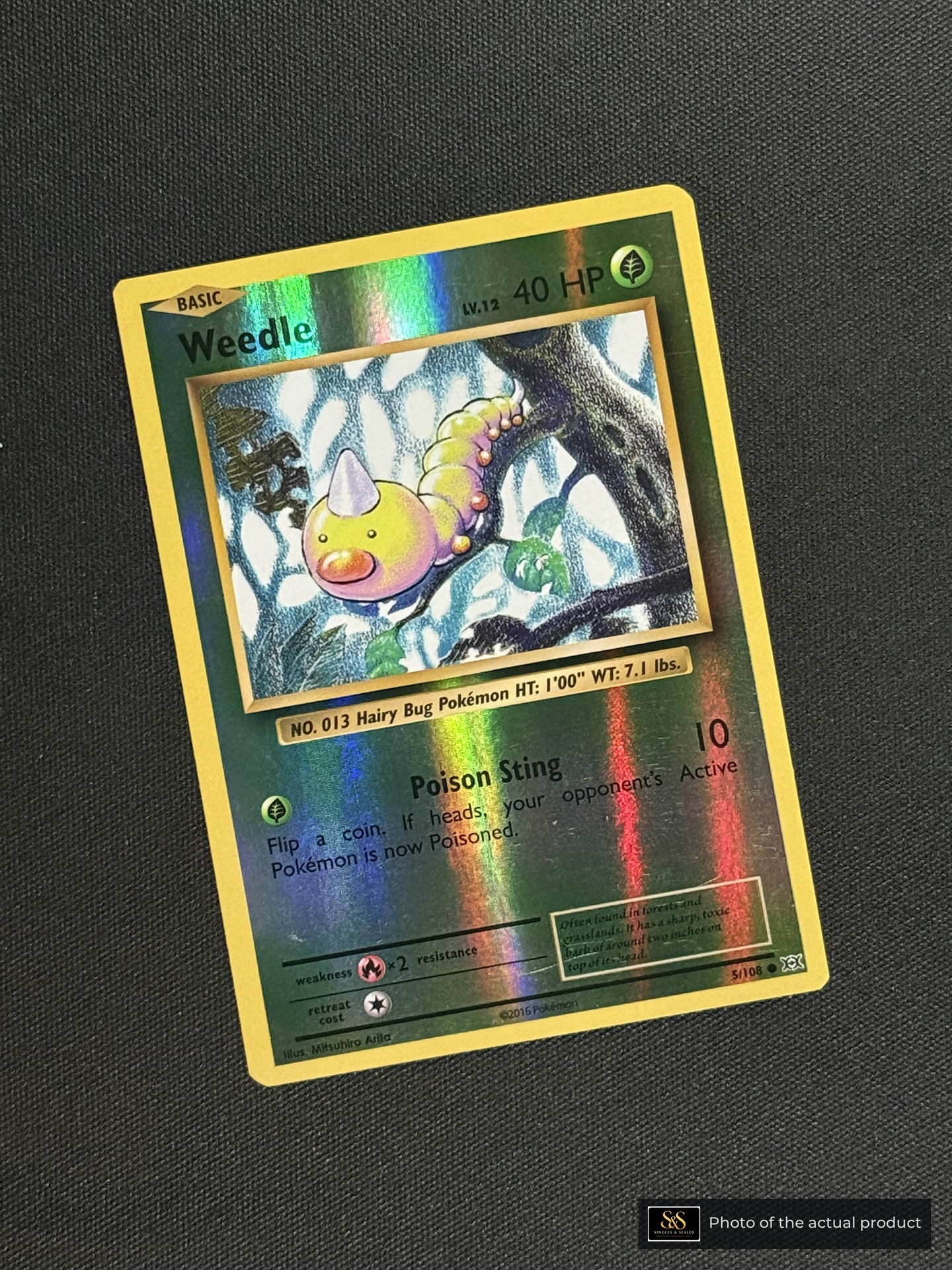 Weedle — echte voorzijde