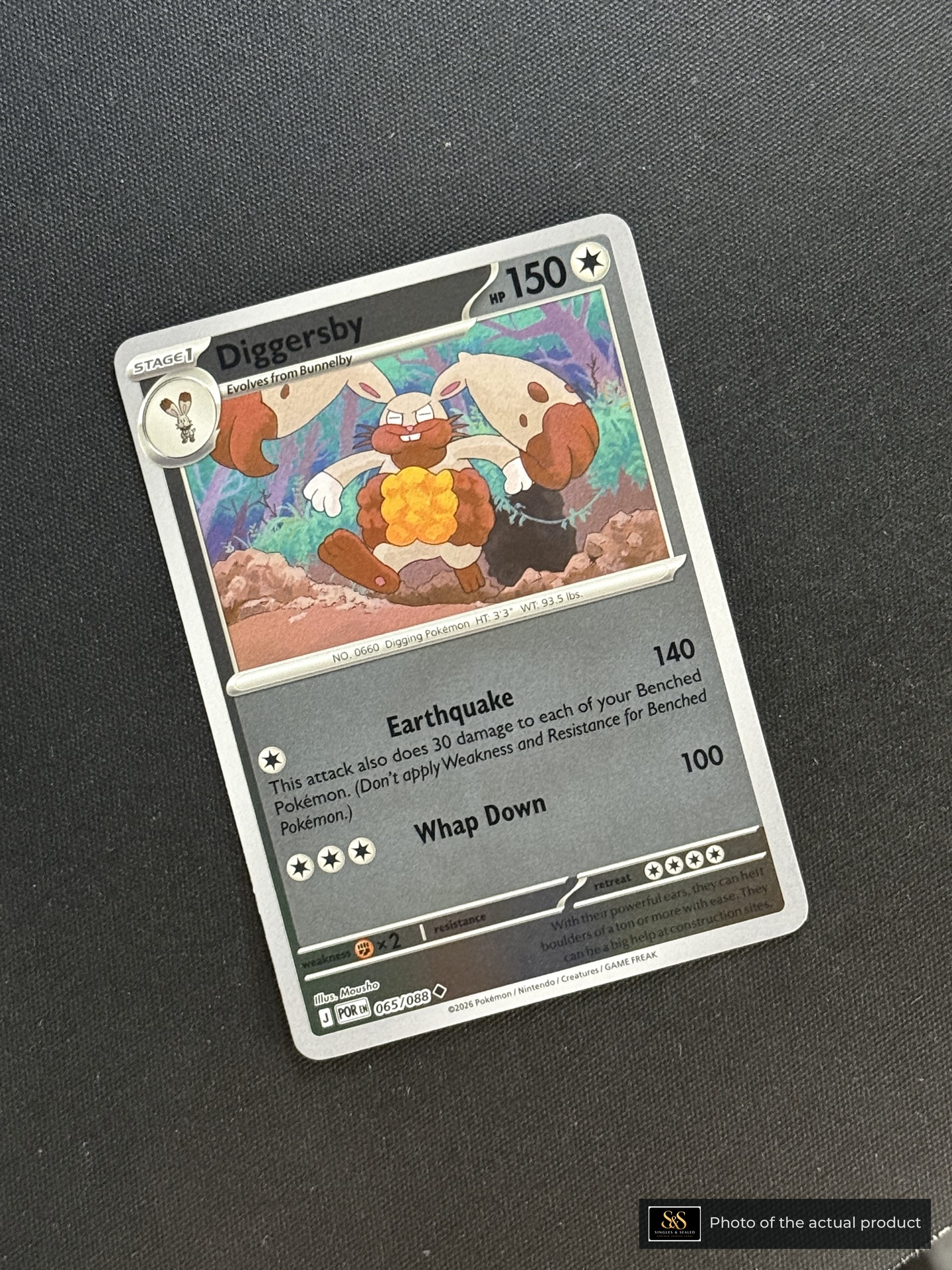 Diggersby — echte voorzijde