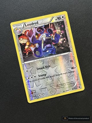 Loudred SS-00000594