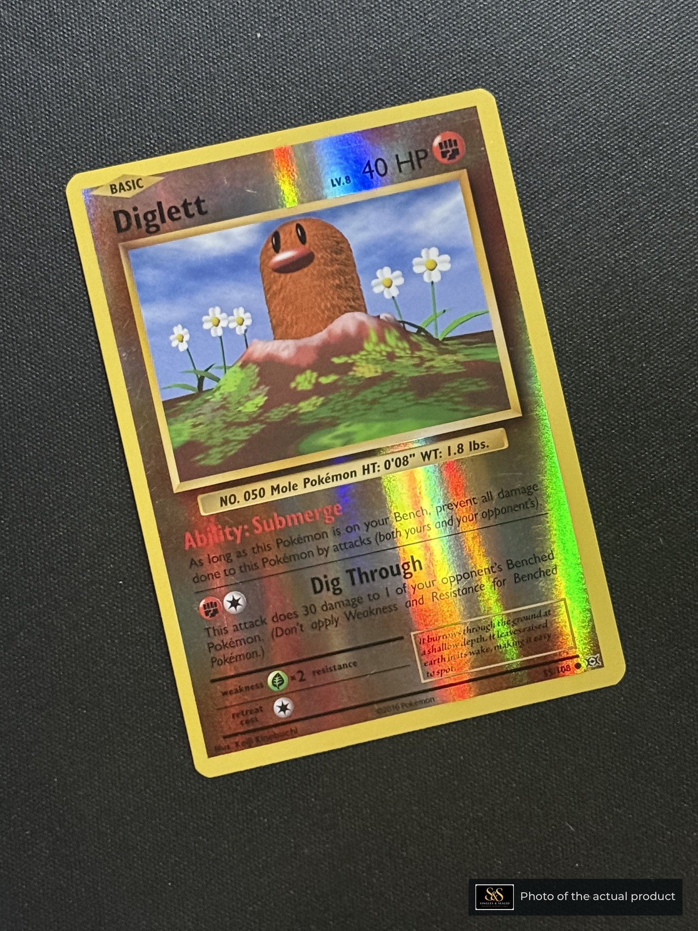 Diglett — echte voorzijde