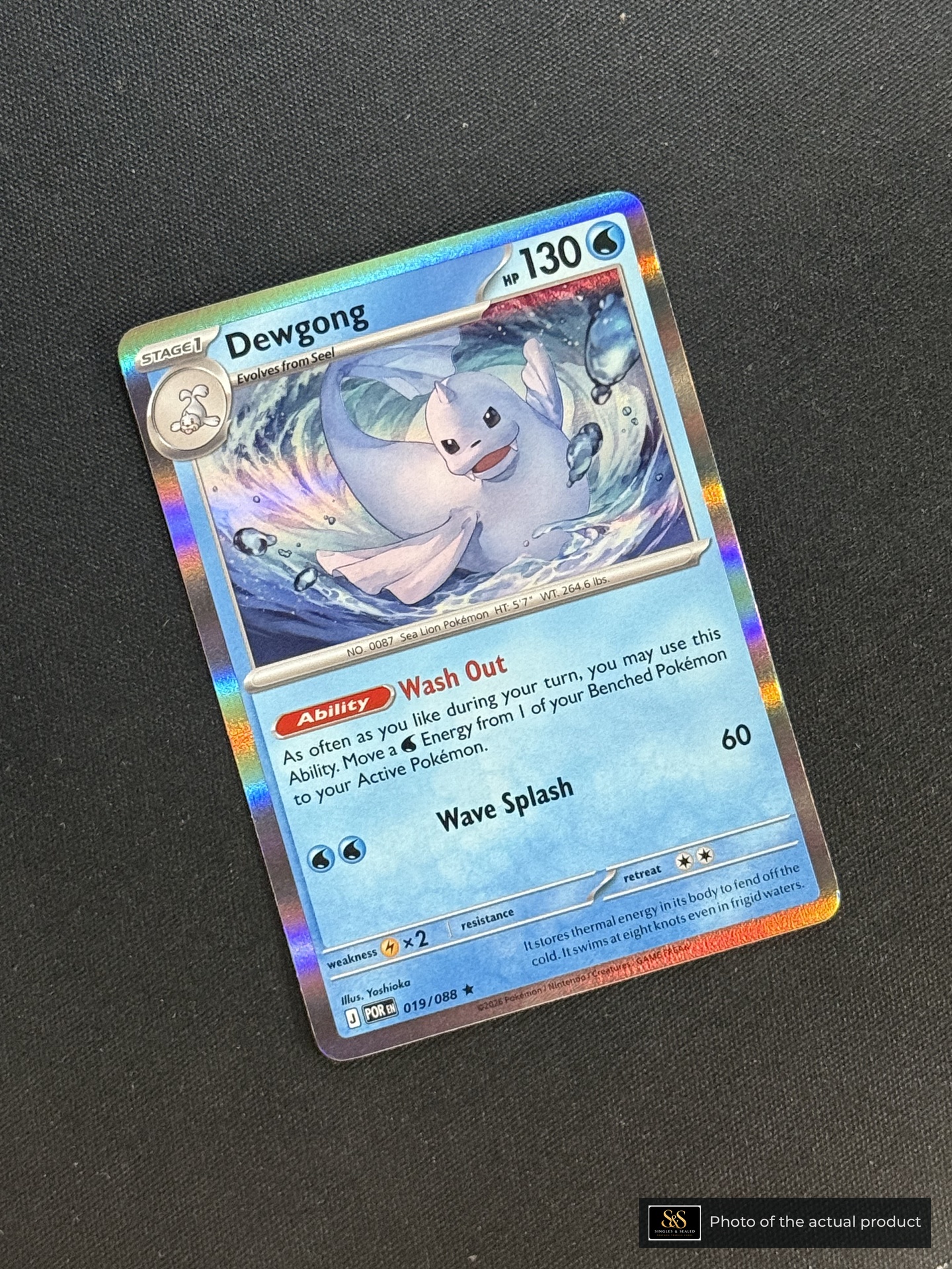 Dewgong — echte voorzijde