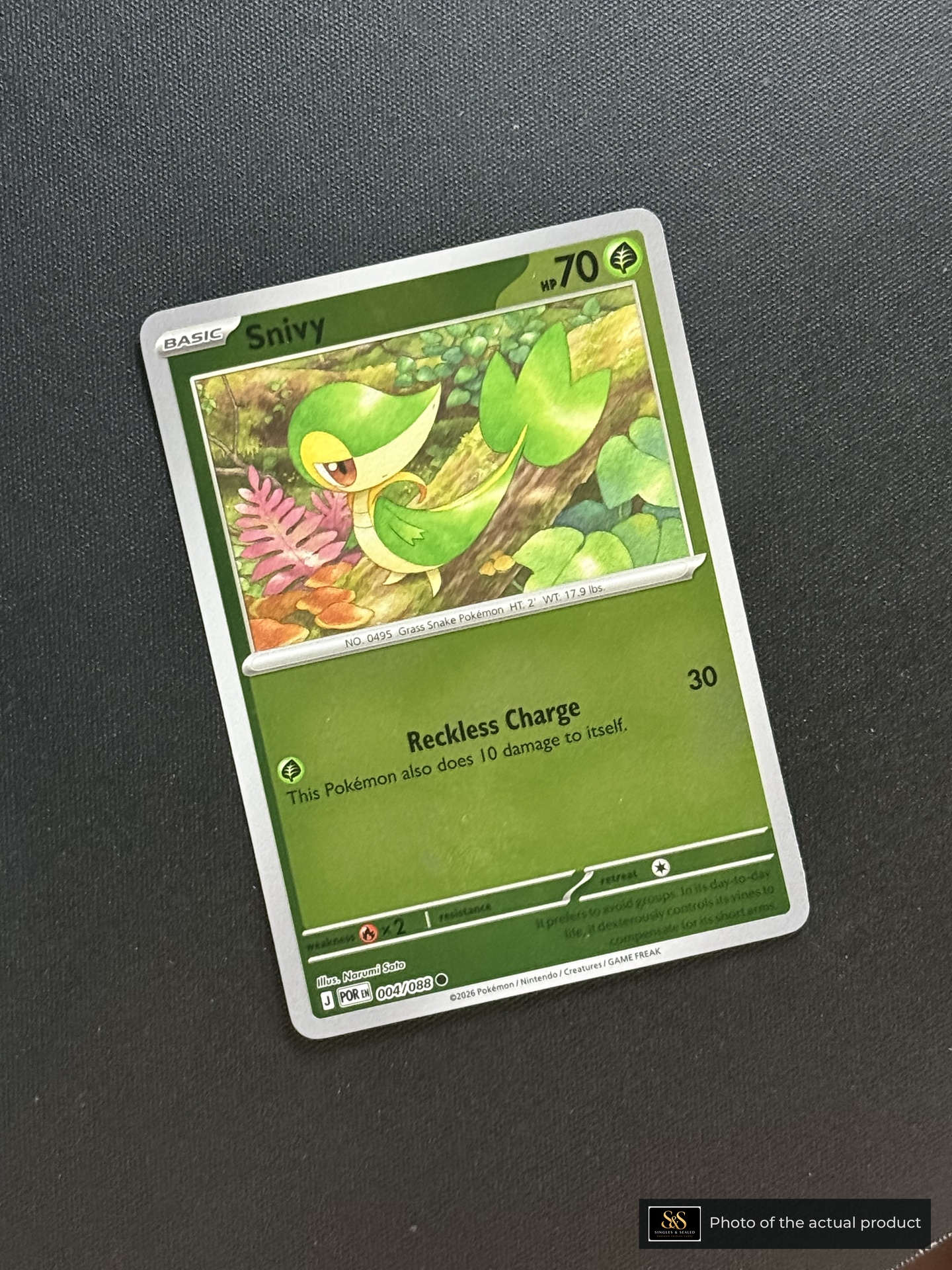 Snivy — echte voorzijde