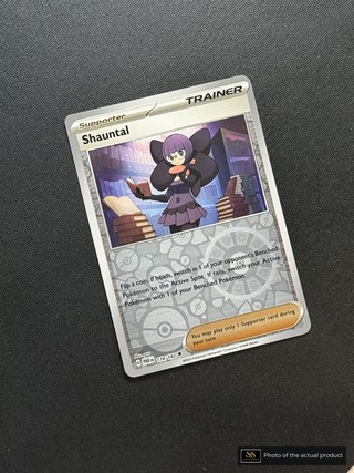 Shauntal SS-00000431