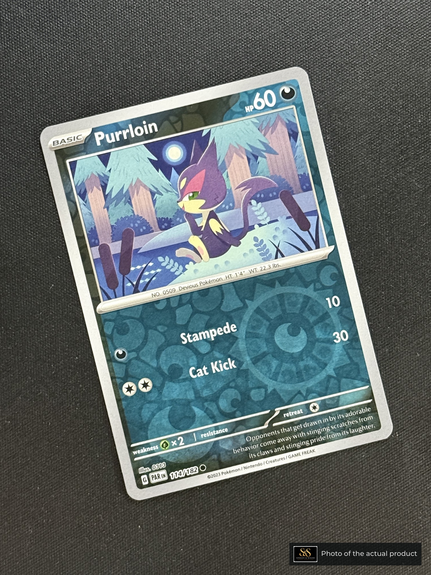 Purrloin — echte voorzijde