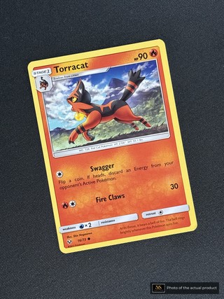 Torracat SS-00000024