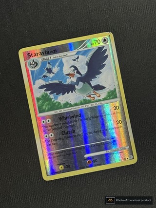 Staravia SS-00000119