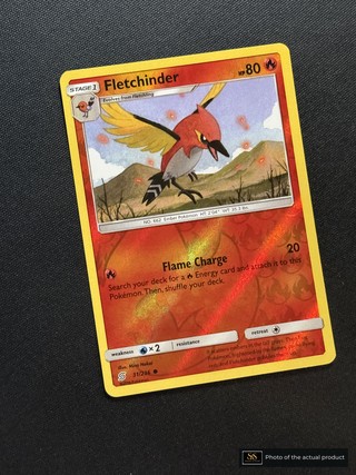 Fletchinder SS-00000684