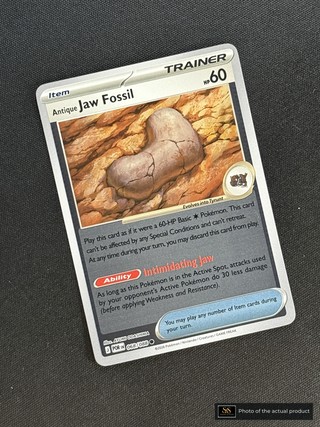 Antique Jaw Fossil SS-00000275