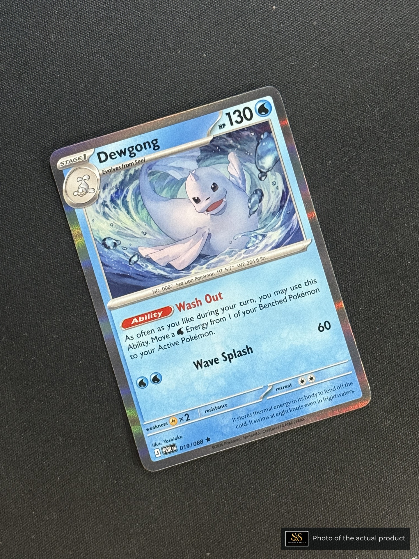 Dewgong — echte voorzijde