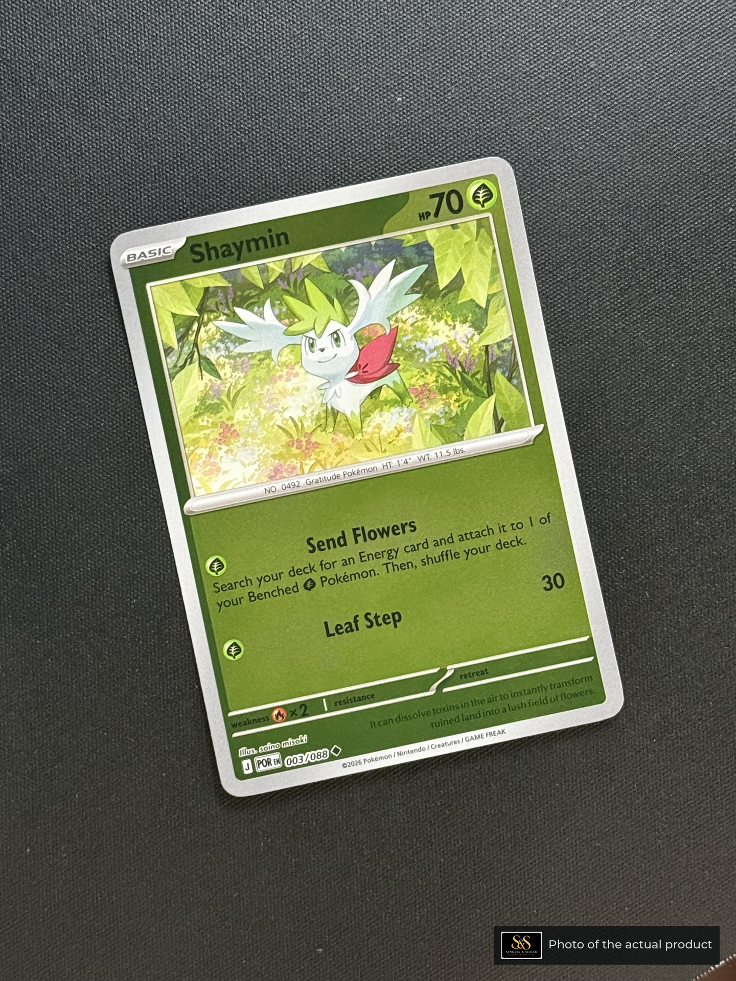 Shaymin — echte voorzijde