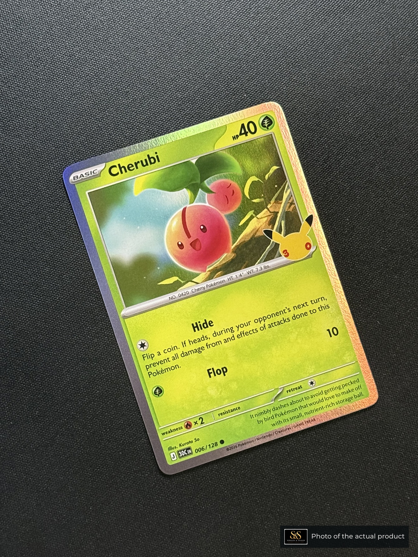 Cherubi — echte voorzijde
