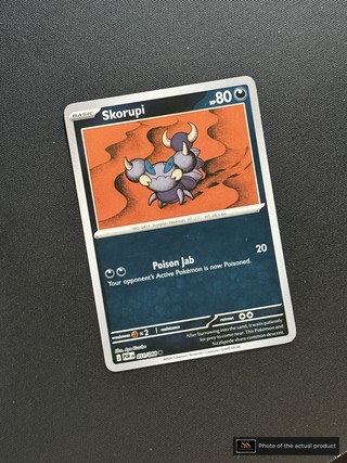 Skorupi SS-00000202