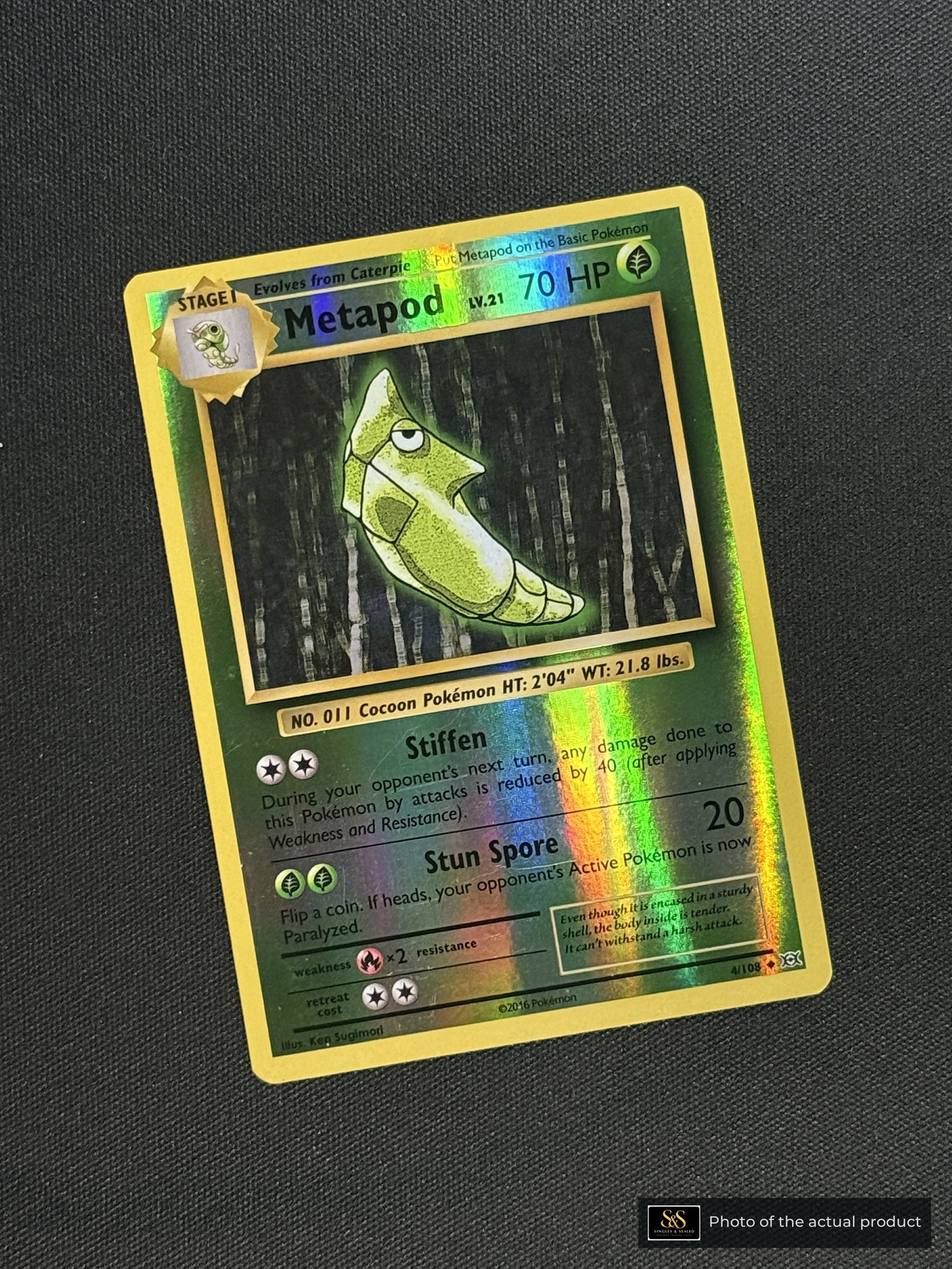Metapod — echte voorzijde